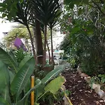 Da Melis Buarcos e São Julião