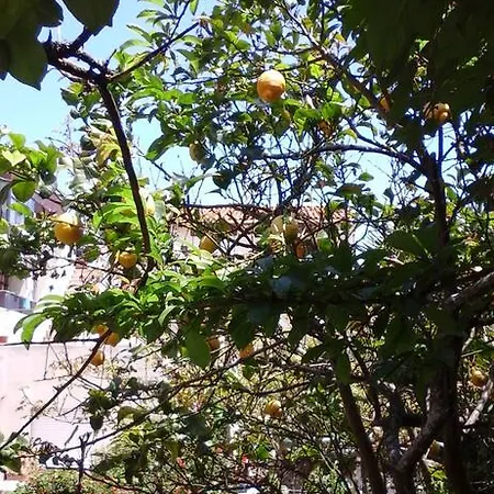 Da Melis Vendégház *