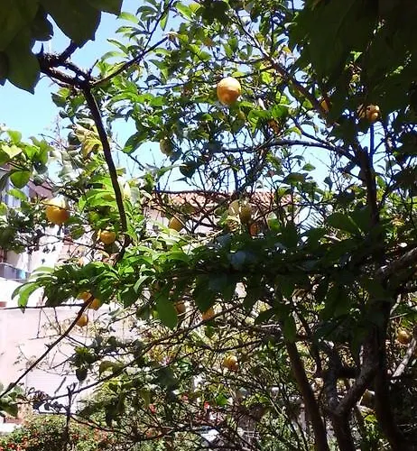 Da Melis Pensjonat *