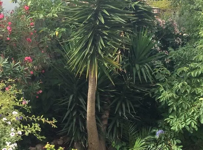 Pensjonat Da Melis *